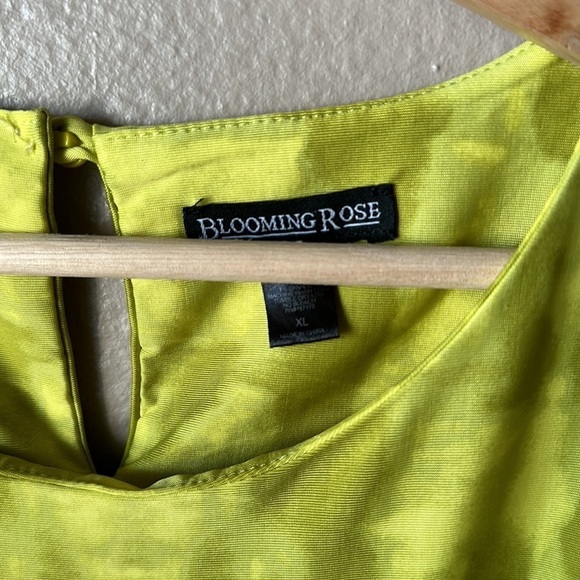 BLOOMING ROSE Colorblock Sleeveless Maxi Dress - Picture 4 of 7